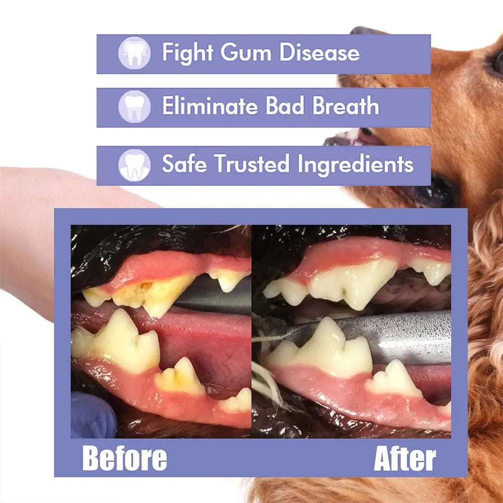 30ml Pet Spray Dog Oral Care Bad Breath Teeth Cleaning Pet Freshener Supply Deodorant Plaque Care Remover Breath Pet Accessories