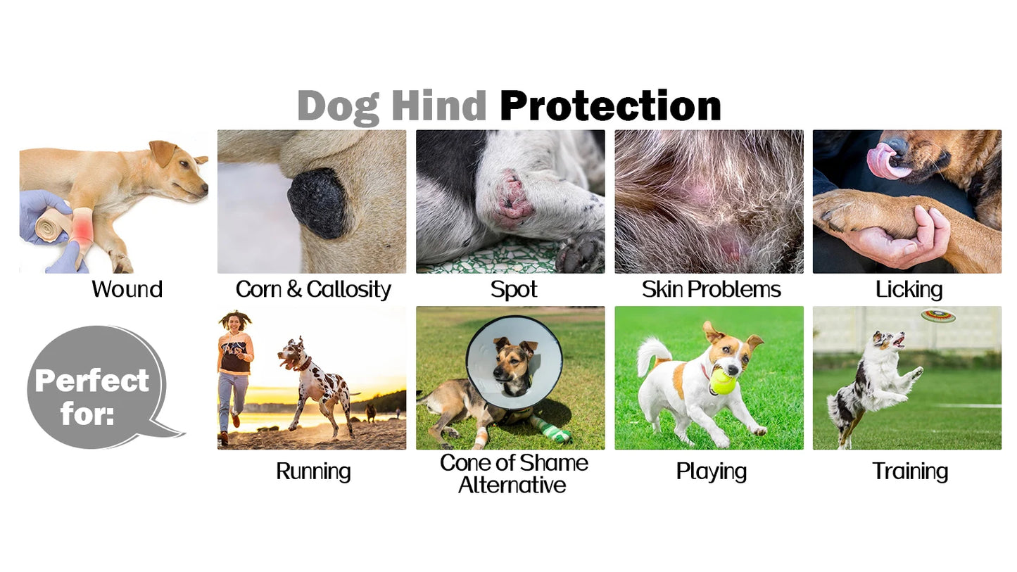 Dog leg rehabilitation suit, pet cover to prevent licking wound elbow protection, dog rehabilitation instead of sprain nursing