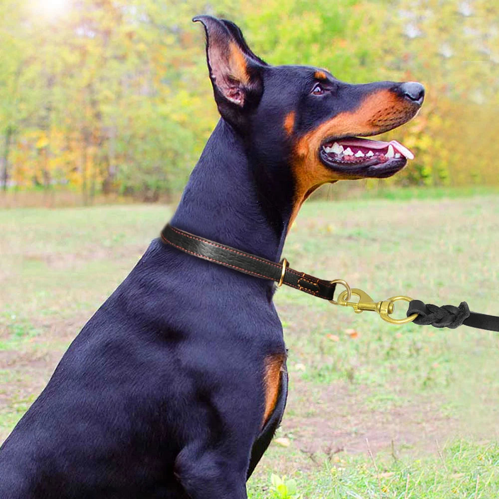 Durable Slip Real Leather Dog Collars Medium Large Dogs Choke Training Collar for Labrador German Shepherd Pet Black Brown