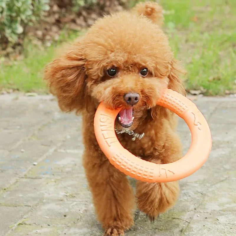 1Pcs  Pet toy dog frisbee grinding teeth training ring tension ring suitable for small dogs