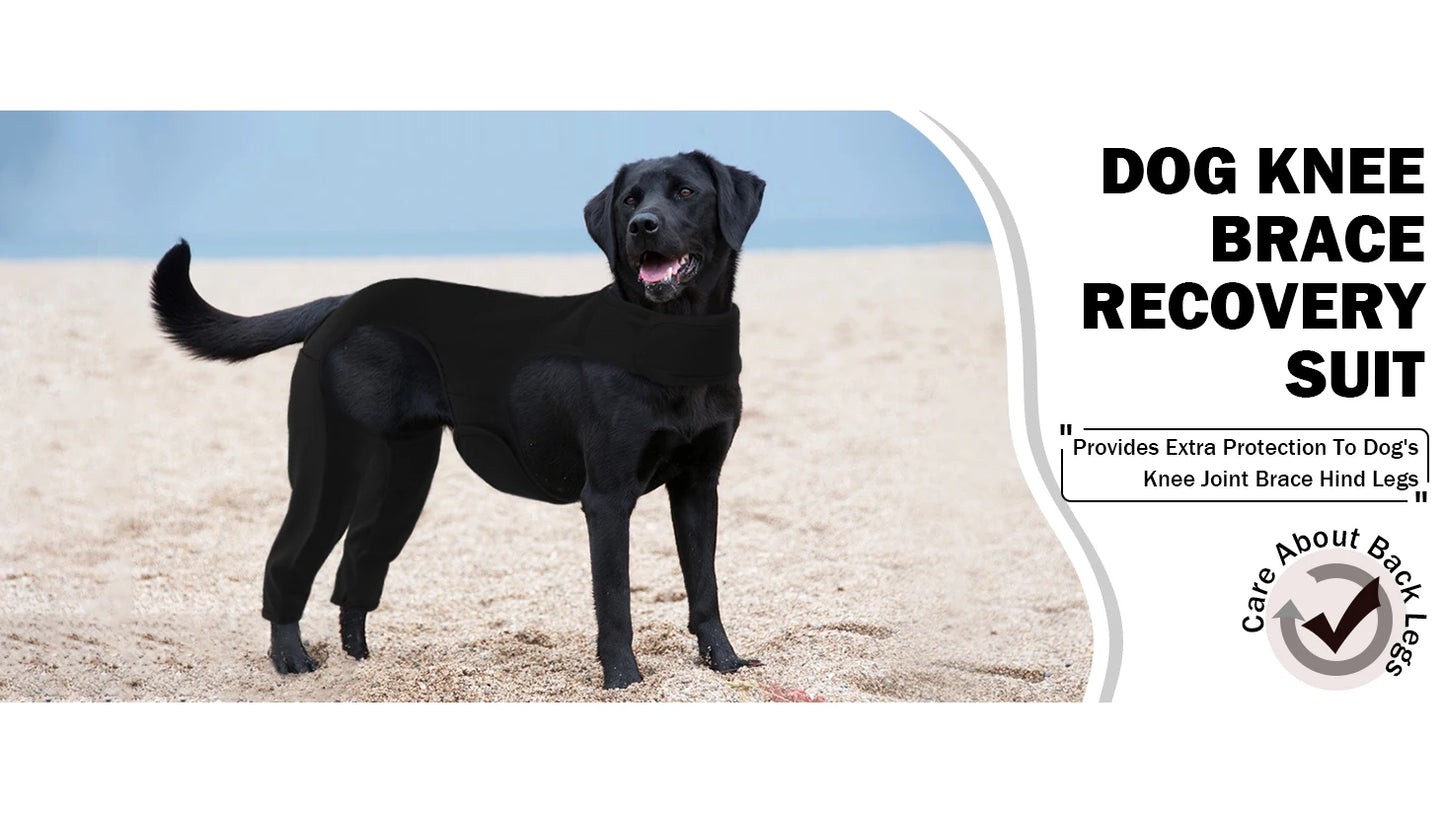 Dog leg rehabilitation suit, pet cover to prevent licking wound elbow protection, dog rehabilitation instead of sprain nursing