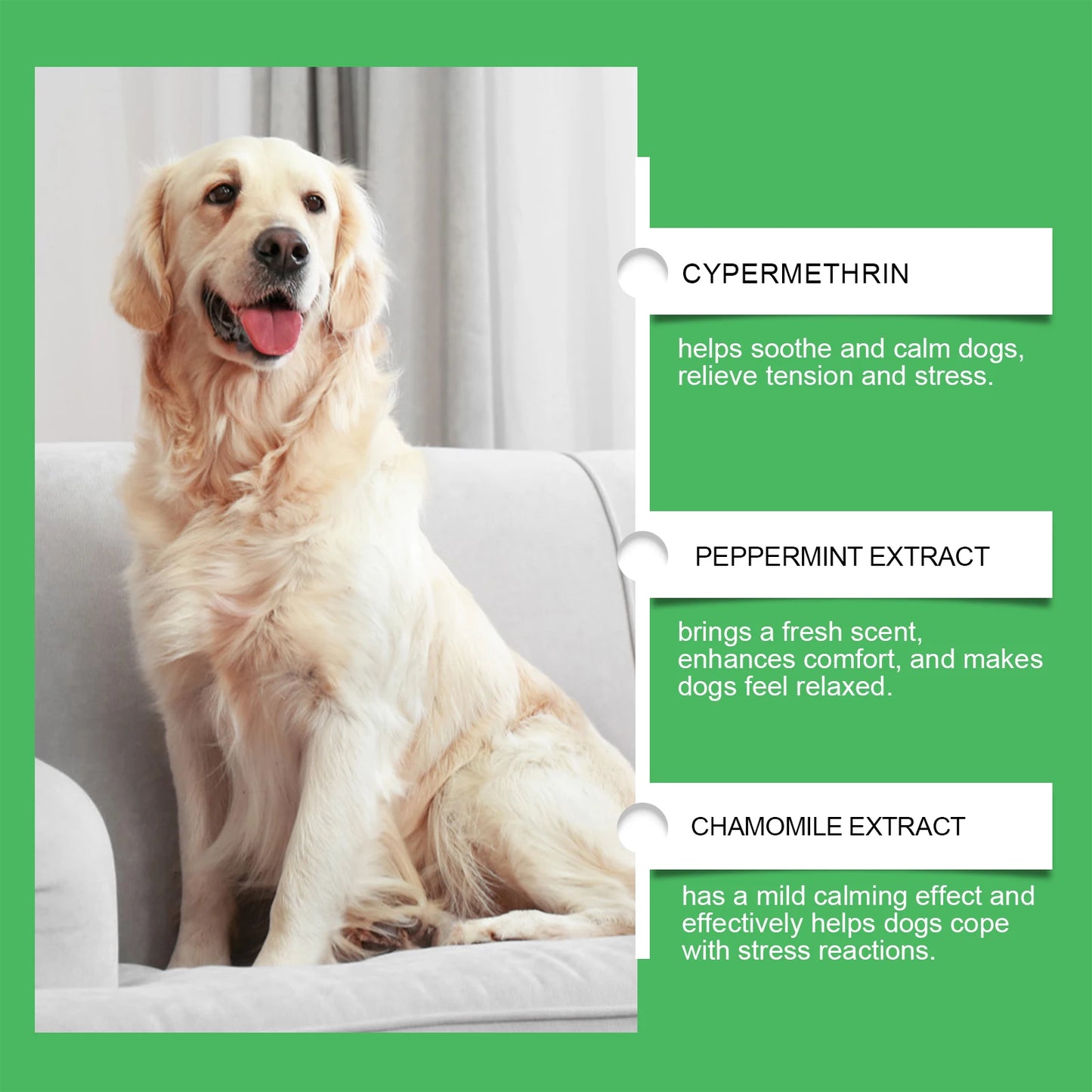 Dog Emotion Diffuser Set for Anxiety Relief Home Environment Stress Care Kit to Effectively Reduce Dogs' Pressure