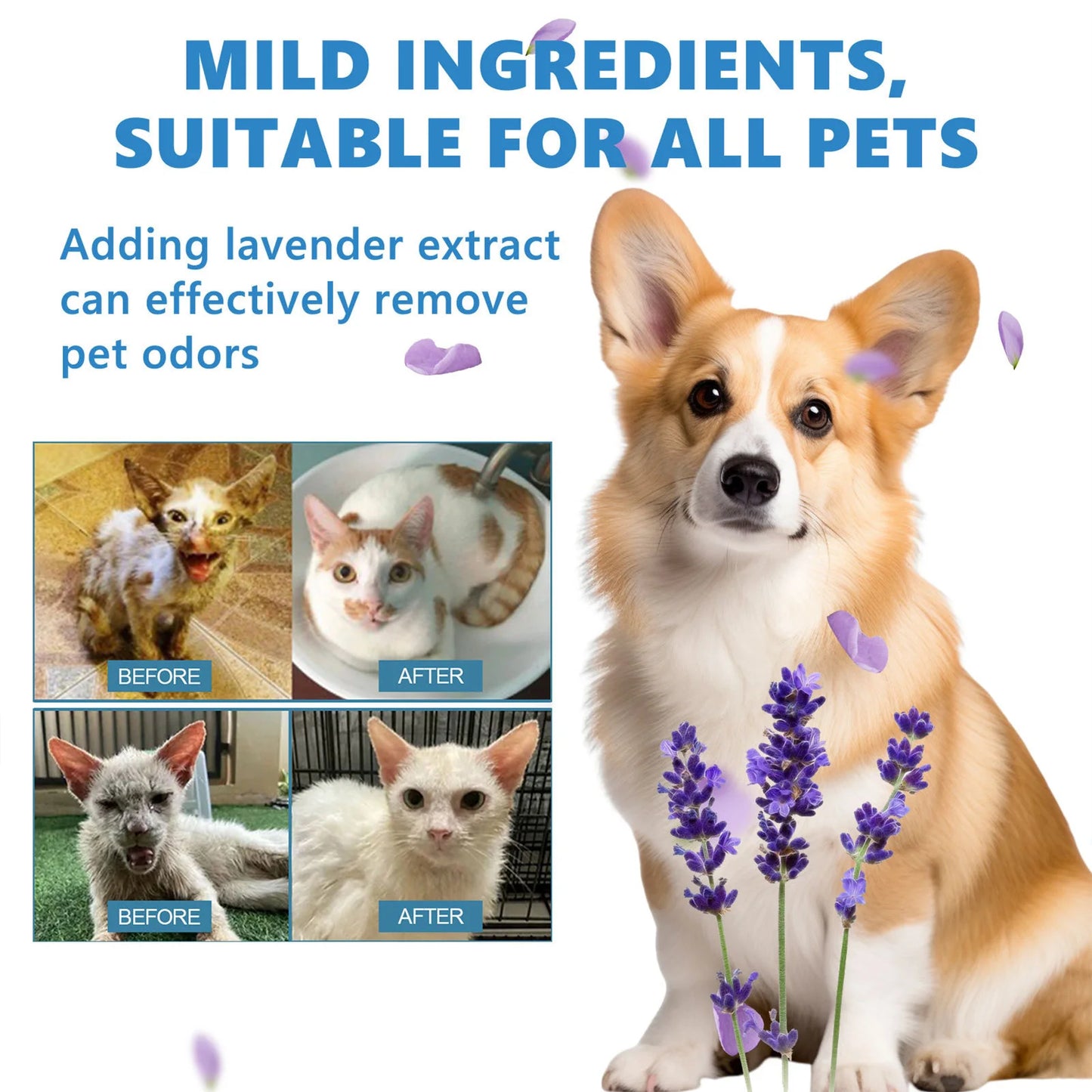 20ml Pet Hair Cleaning Leave-in Serum Gentle Deodorizing Easy to Use Serum for Cats Dogs Pet Grooming Serum