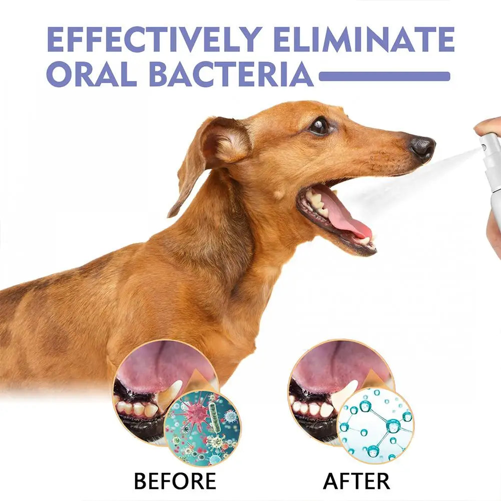 30ml Pet Spray Dog Oral Care Bad Breath Teeth Cleaning Pet Freshener Supply Deodorant Plaque Care Remover Breath Pet Accessories