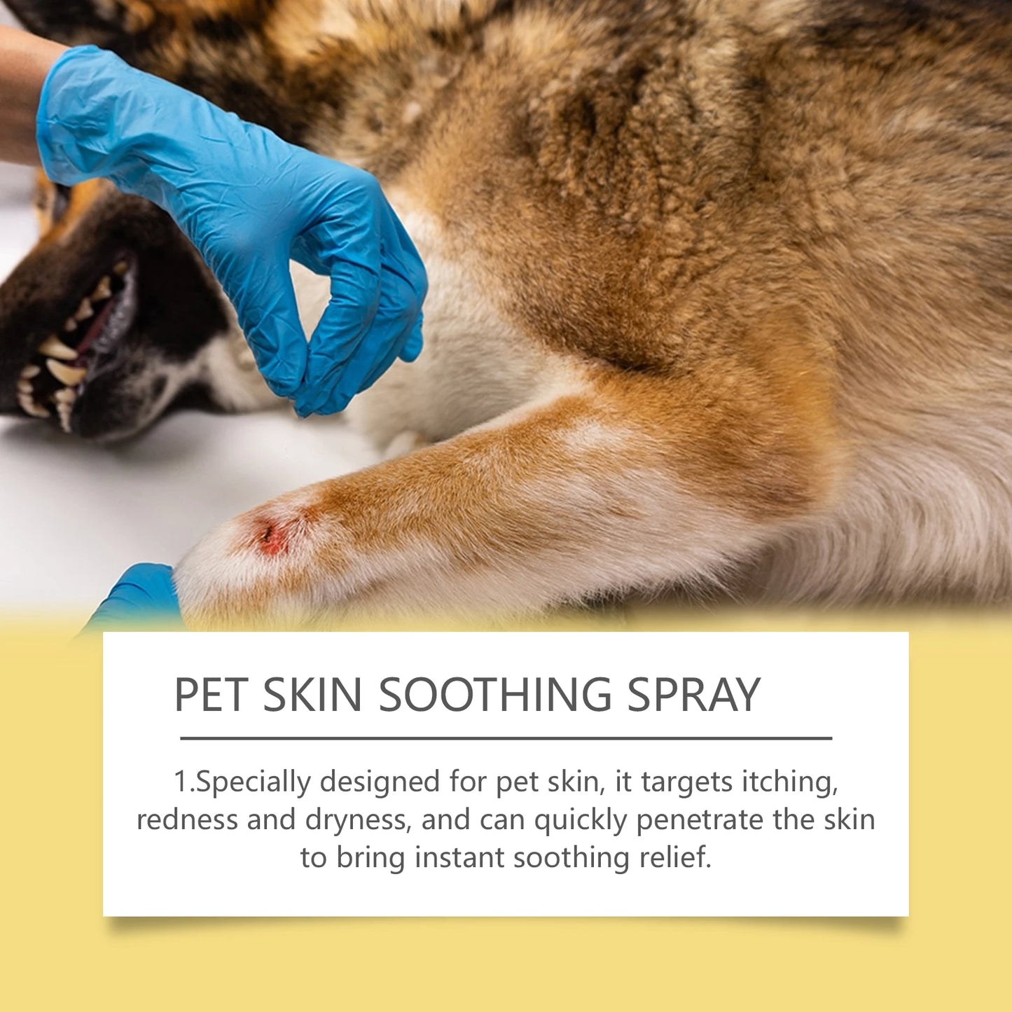 YEGBONG 50ml Pet Skin Care Spray Gentle Formula Soothing Discomfort Relief Vet Recommended for Dogs Cats All Breeds Daily Use