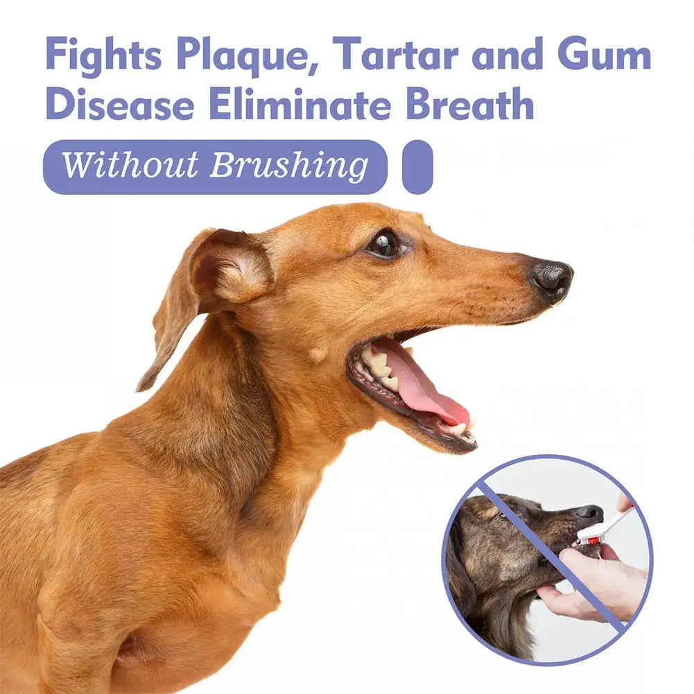 30ml Pet Spray Dog Oral Care Pet Freshener Supply Deodorant Bad Breath Teeth Cleaning Plaque Care Remover Breath Pet Accessories
