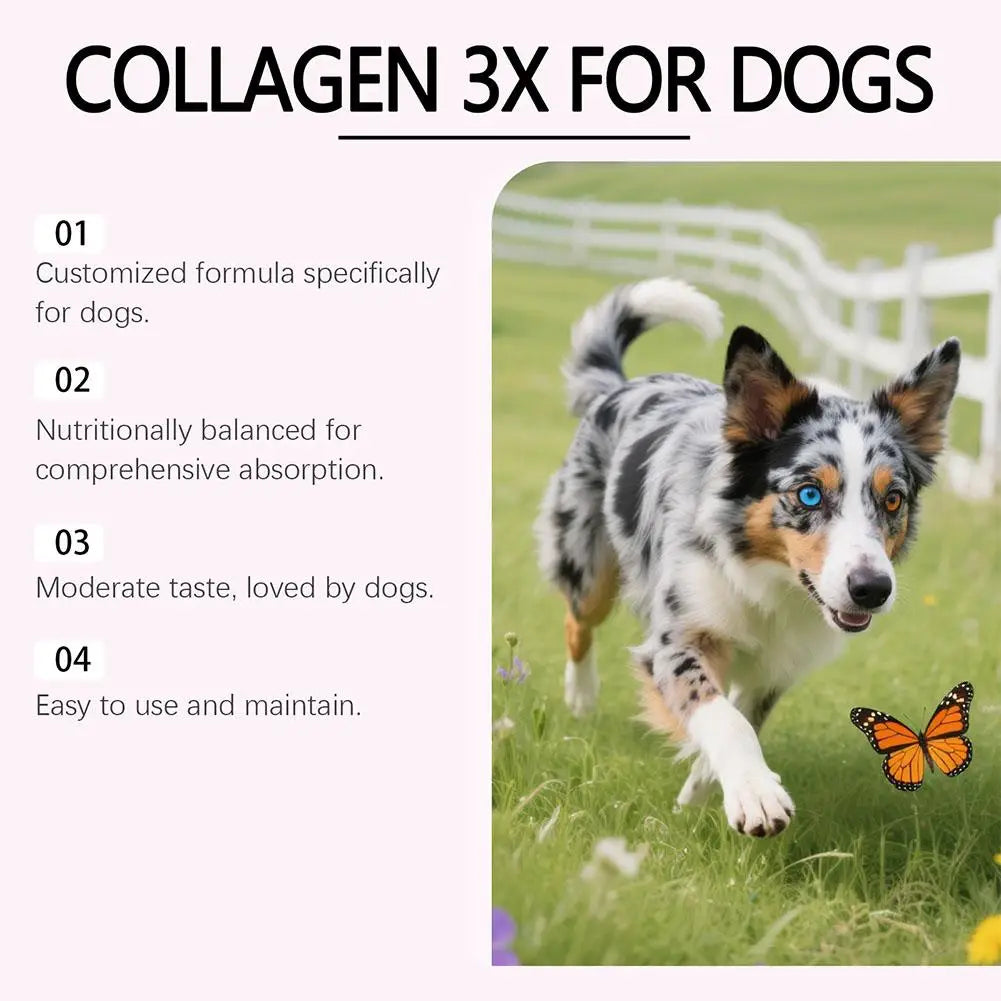 1/3/5-Piece Dog Collagen Drops Gentle Formula for Coat & Skin Care Main Dietary Supplement Dog Cleaning Supplies