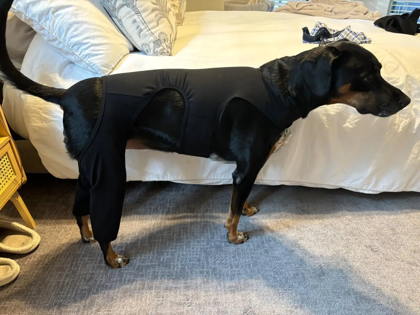 Dog leg rehabilitation suit, pet cover to prevent licking wound elbow protection, dog rehabilitation instead of sprain nursing