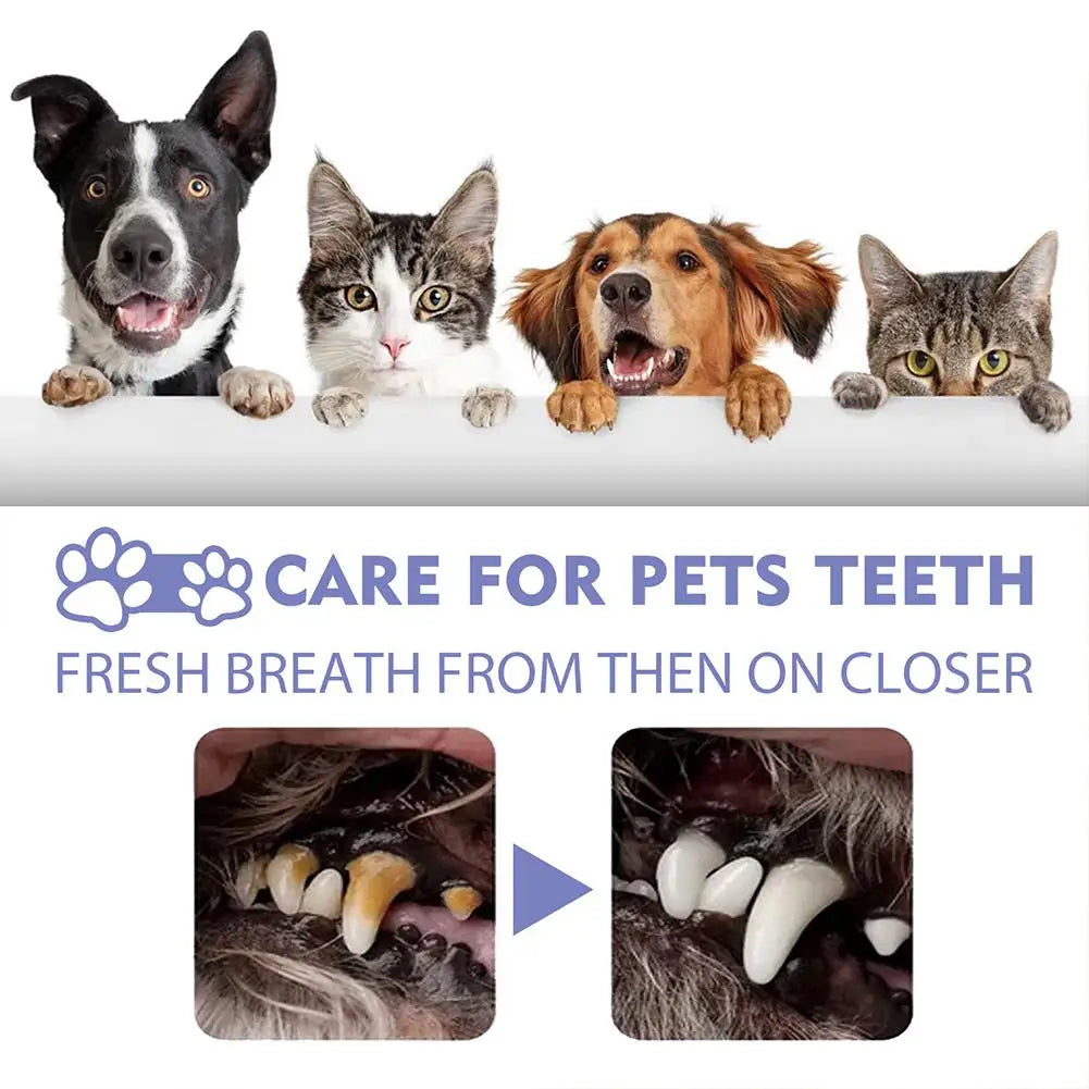 30ml Pet Spray Dog Oral Care Pet Freshener Supply Deodorant Bad Breath Teeth Cleaning Plaque Care Remover Breath Pet Accessories